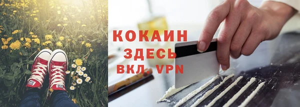 соль ск Кулебаки