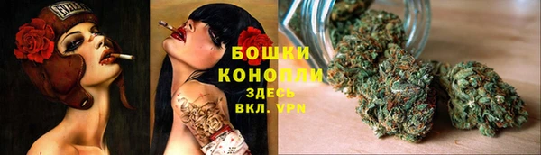 мдпв Кукмор