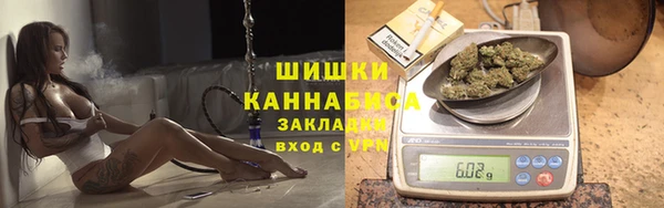 мдпв Кукмор