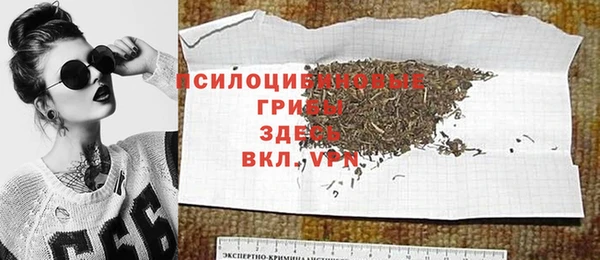 крисы Лагань