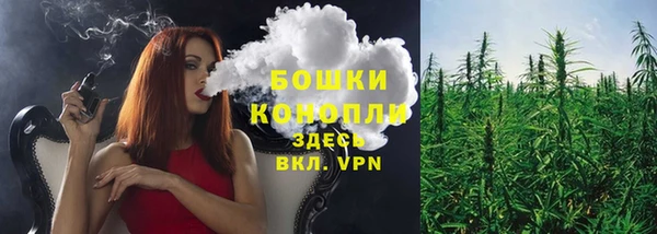 шишки Ладушкин