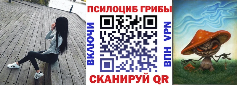 Купить закладки  Козельск  Галлюциногенные грибы GOLDEN TEACHER 