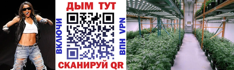Конопля Bruce Banner  Купить закладки  Козельск 